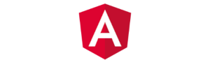 Angular framework